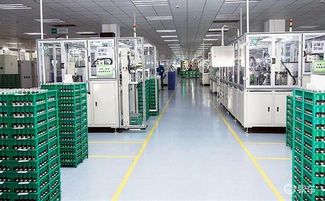 寧德時(shí)代首個(gè)海外工廠正式動(dòng)工，信息技術(shù)咨詢服務(wù)助力全球化布局